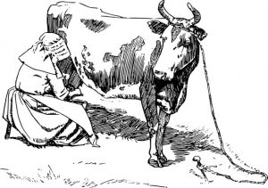 Dairy products help increase semen volume