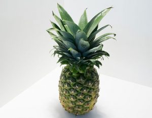 Pineapples Increase Semen Volume