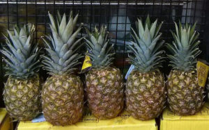 Pineapples improve taste of semen