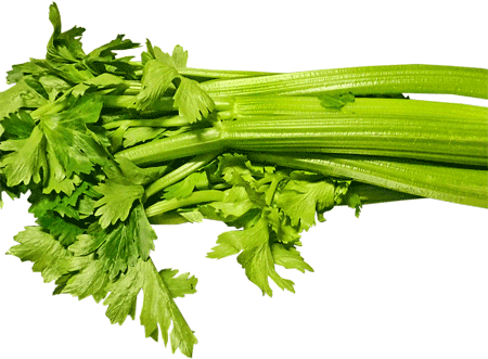 Celery is the most popular cum holy grail ingredient